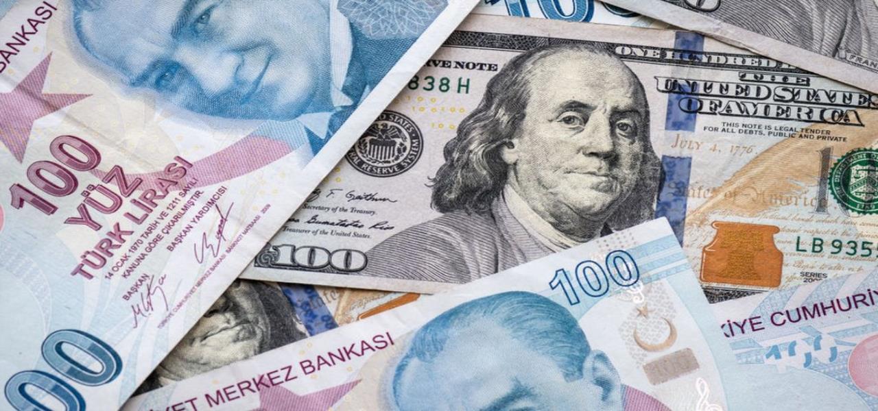 TL nasıl bir yıl geçirdi? 02 Ocak 2021 döviz kurları