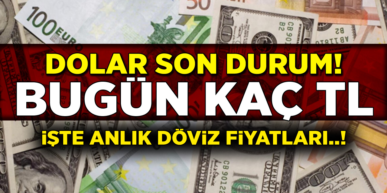 17 Ocak 2021 Döviz Kurlarındaki Son Durum Ne? Dolar Bugün Kaç TL Oldu? Euro Ve Sterlin Güncel Fiyatları?