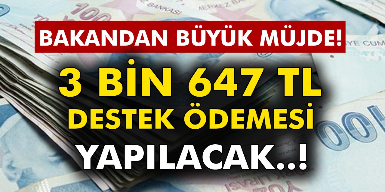 Bakandan müjde 3 Bin 647 TL Destek Ödemesi Yatırılacak! Hesaplarınızı Kontrol Edin..!