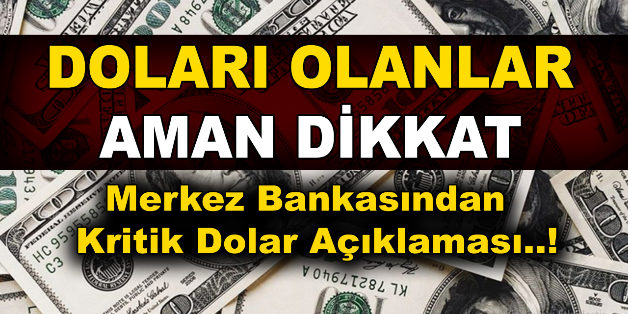 Merkez Bankasından Kritik Dolar Açıklaması Geldi..! 2021 Şubat Ayı Beklenti Anketi Sonuçları...
