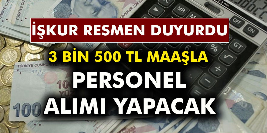 İŞKUR Resmen Açıkladı! Kamu'da 3 Bin 500 TL Maaşla Çalışacak Personel Arıyor...