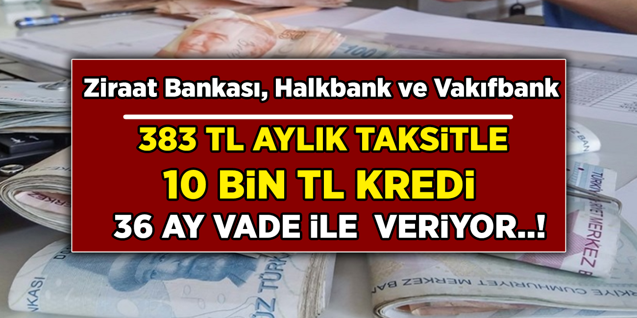Halkbank, Ziraat Bankası, Vakıfbank 383 TL taksitle destek veriyor! Emeklilik artık hayal değil! 10 Bin TL ile emekli olacaksınız...