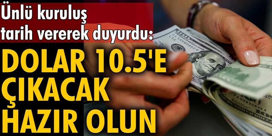 Ünlü yatırım şirketleri Capital Economics korkutan uyarı geldi! Dolar'ın 10.50 TL’ye yükseleceği ifade etti