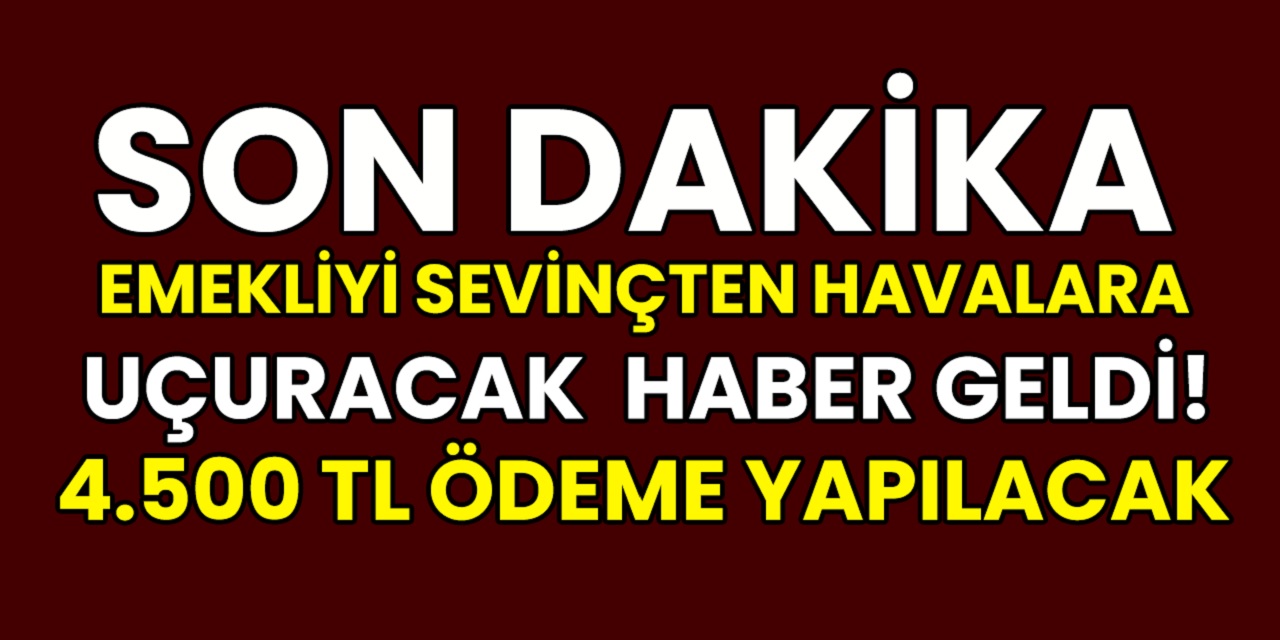 Emekliye yüzleri güldürecek müjdeli haber bu gece geldi! SGK’dan tek kalemde en az 4.500 TL para ödemesi sabah başlıyor!