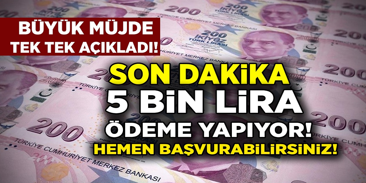 Emekliye ve çalışana bu akşam müjde üstüne müjde verildi! Emekliye 2.500 TL, çalışana 5.000 TL nakit para ödemesi yapılacak! Hesaplarınızı kontrol edin...