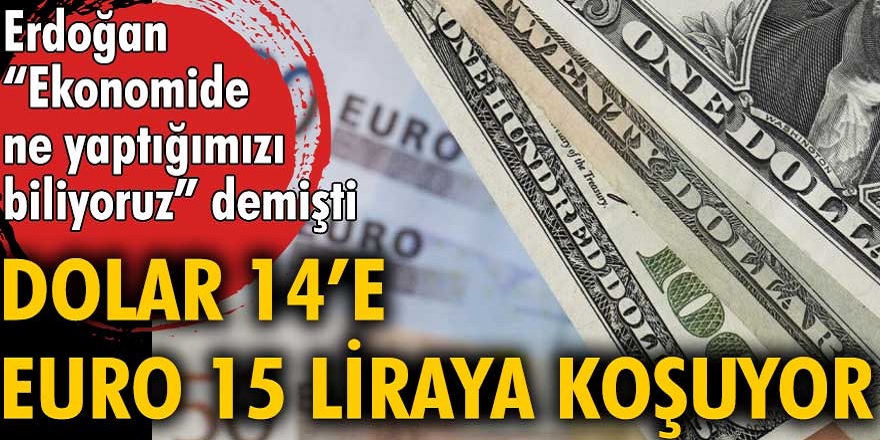 Son dakika dolar bugün rekor üstüne rekor kırıyor! Dolar 14'e, Euro 15 TL'ye yükseliyor...
