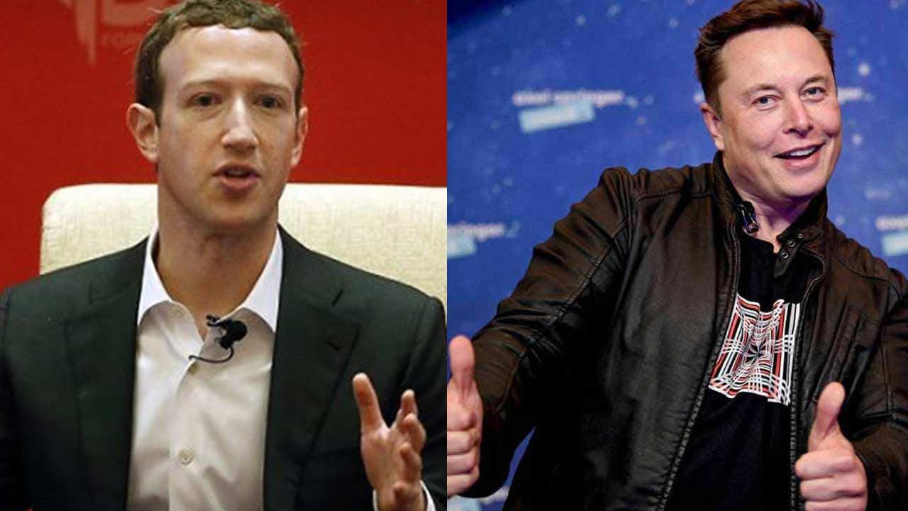 Elon Musk, Mark Zuckerberg'e Karşı: Meta CEO'su kafes dövüşü meydan okumasını kabul etti