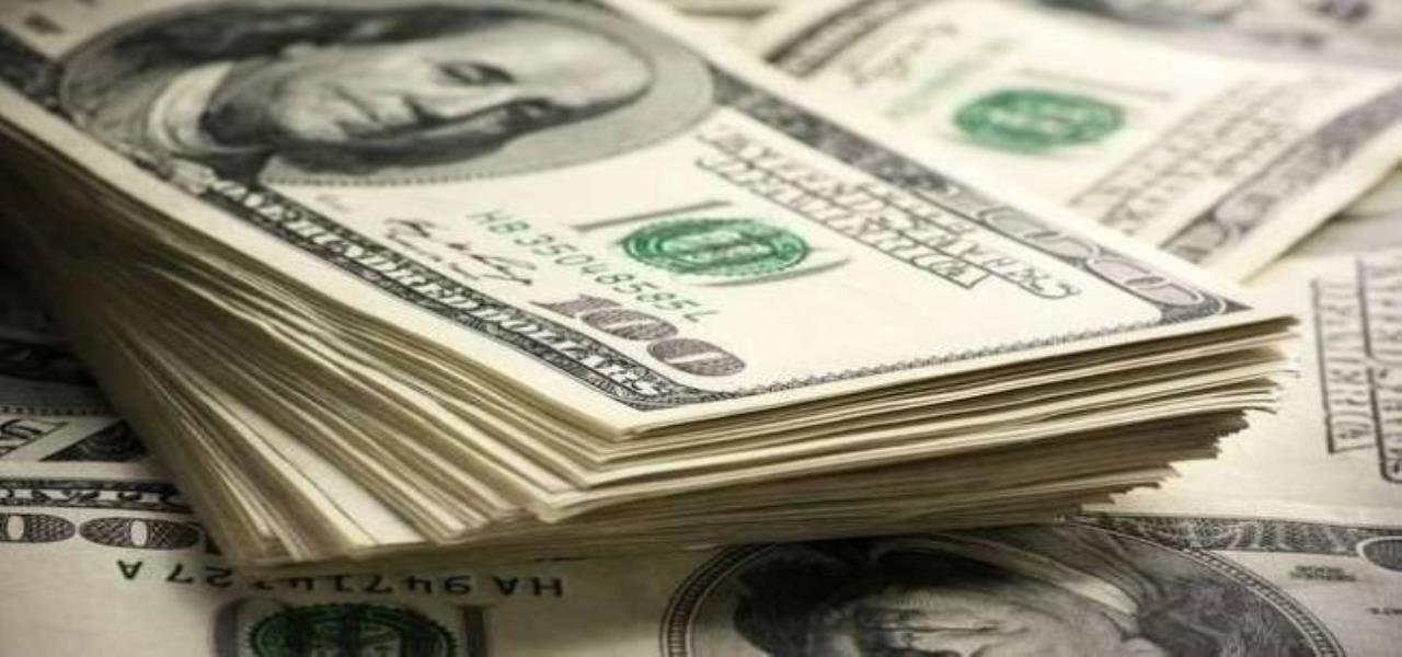 Dolar yeni yıla nasıl girdi? 01 Ocak 2021 döviz kurları